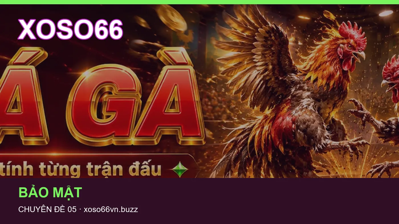 Hình minh họa bài viết XOSO66