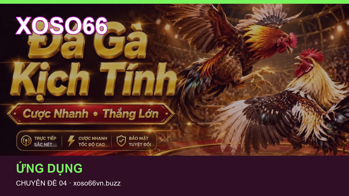 Hình minh họa bài viết XOSO66