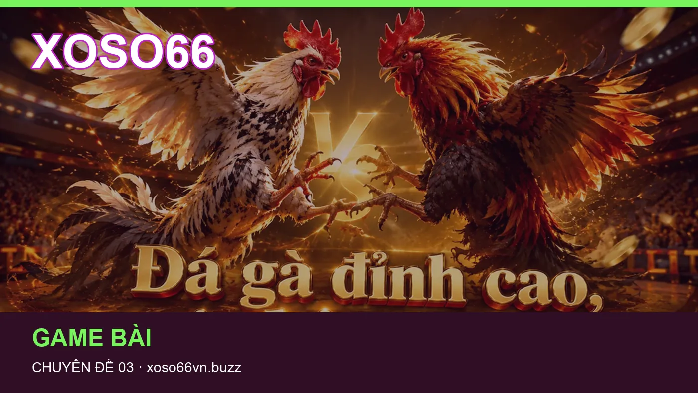 Hình minh họa bài viết XOSO66
