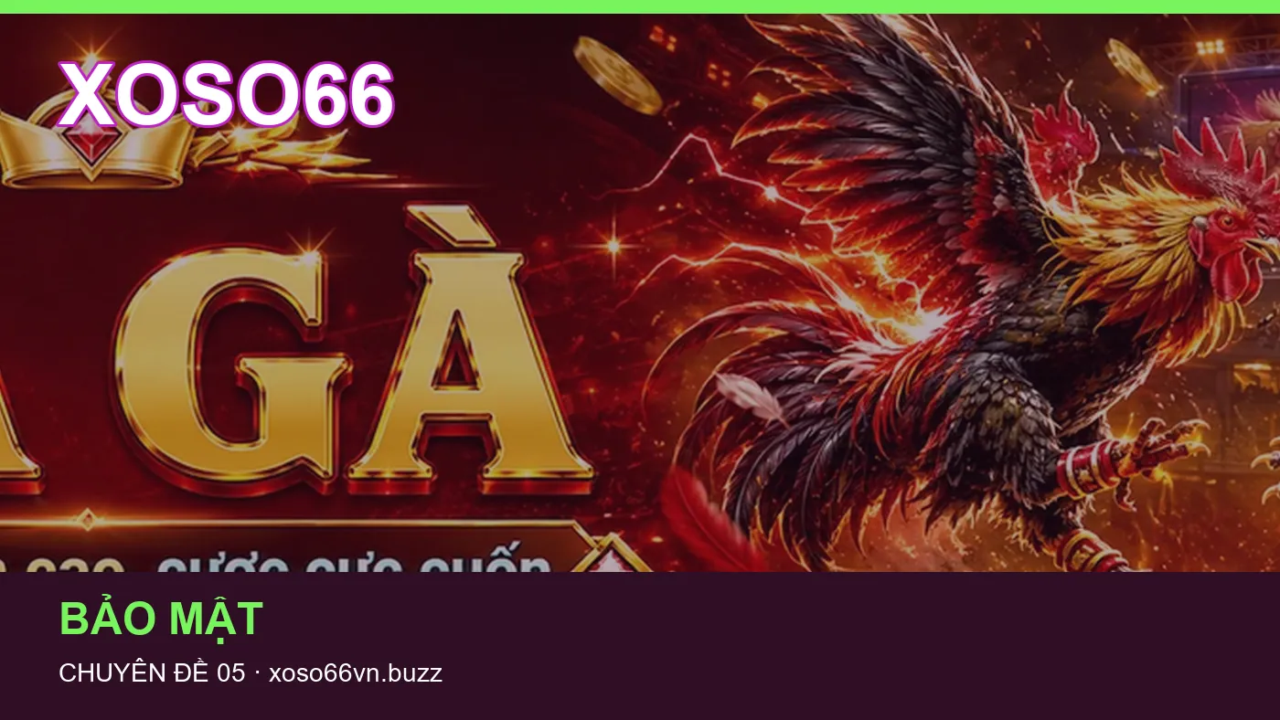 Hình minh họa bài viết XOSO66