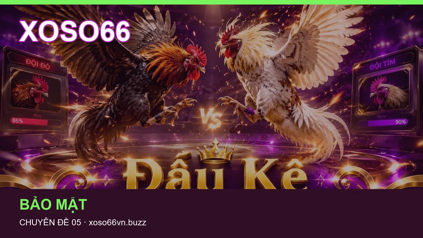 Hình minh họa bài viết XOSO66